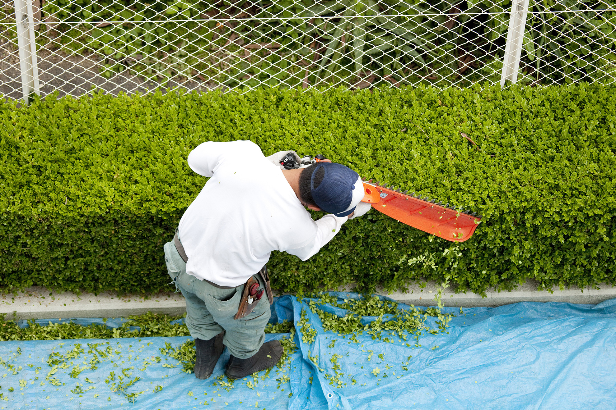 Prizma FM Zrt.: Kertészet, Növénygondozás, Zöldterületkarbantartás, Fűnyírás, Öntözés, Hótakarítás a Prizma Csoporttól. Növénygondozás, kaszálás, hóeltakarítás komplex megoldás! Modern gépparkunk és felkészült munkatársaink segítségével a legváratlanabb helyzetekben is hatékonyan tudjuk ügyfeleink igényeit kielégíteni.